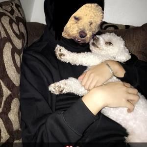 Meet your Posher, Angel